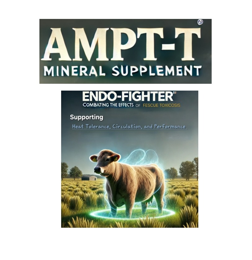 AMPT-A – Mineral Supplement for Forage-Fed Cattle