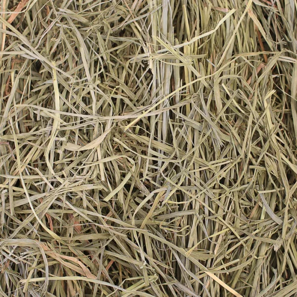 Orchard Grass Hay 20lb Loose Boxed