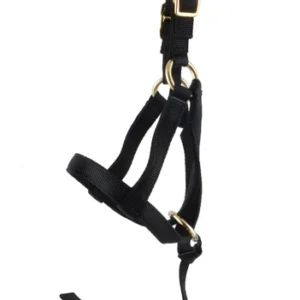 jeffers-nylon-grow-with-me-weanling-halter-34-ssgv-316953_352x700