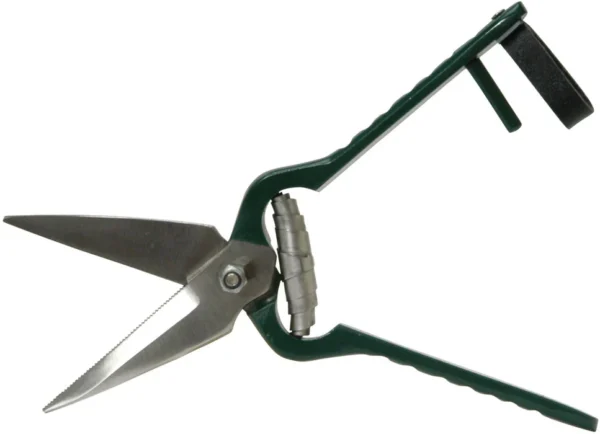 Foot Rot Shears